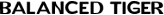 logo-61630042